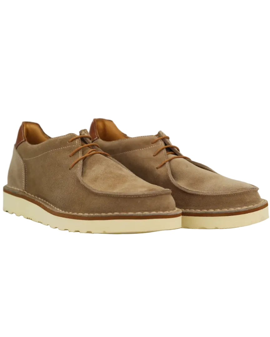 Shop Handmade Italian Leather suede Sneaker in sabia (1009) or browse our range of hand-made Italian shoes in leather or suede in-store at Aliverti Cape Town, or shop online. We deliver in South Africa & offer multiple payment plans as well as accept multiple safe & secure payment methods.