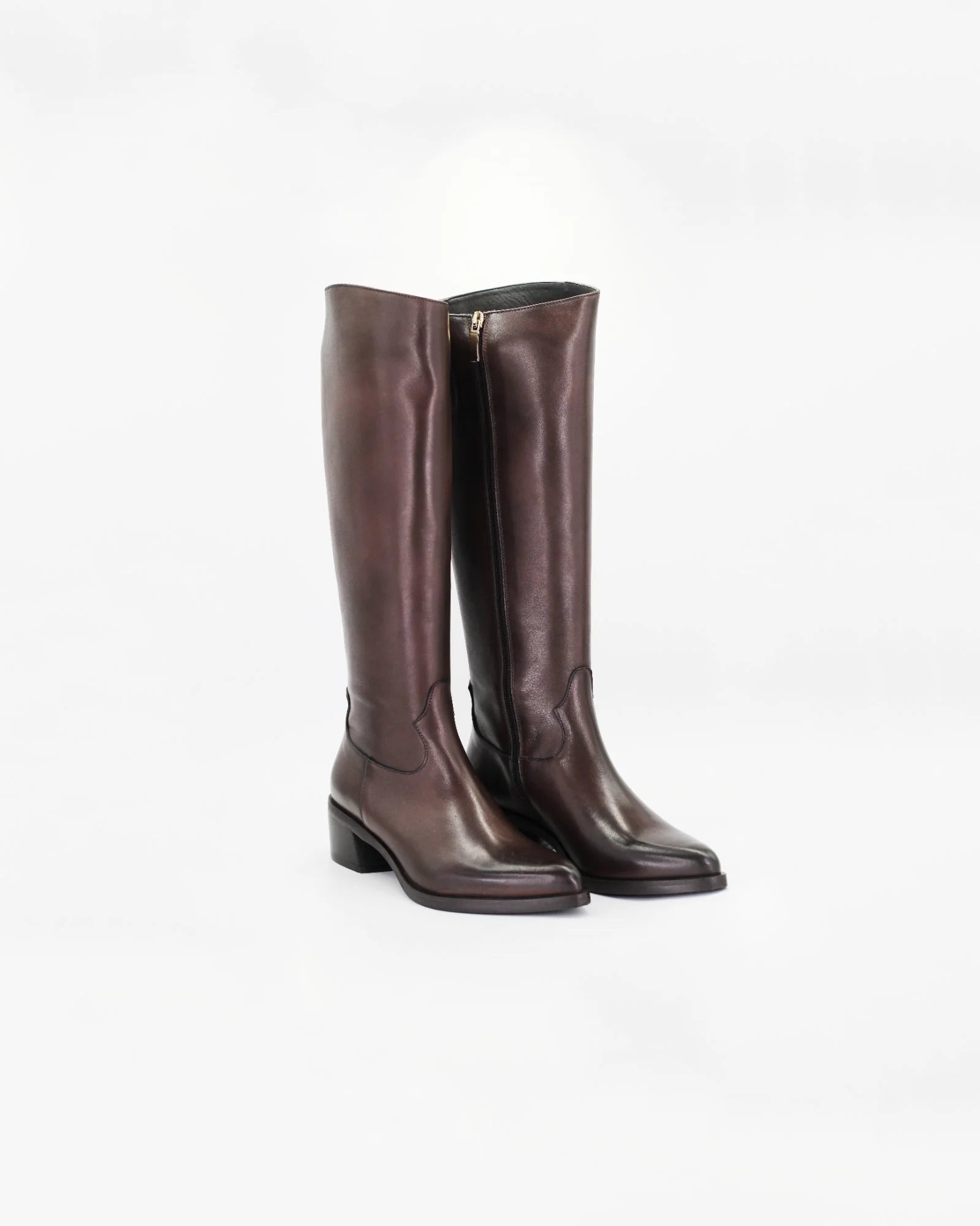 Women's Pointed Toe Boot in Calf Leather Dark Brown (GC1175)